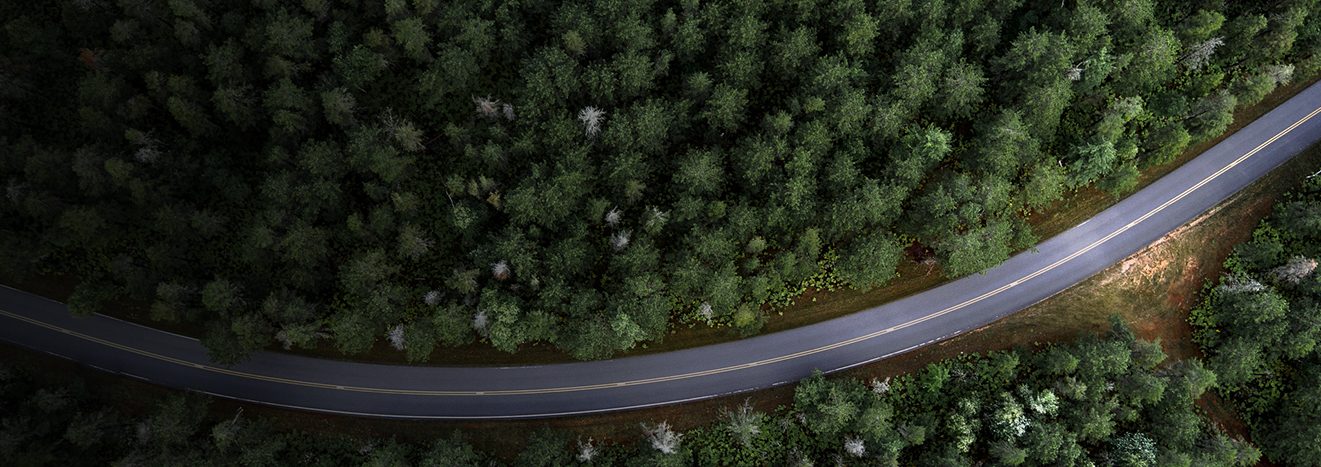 Altis Trees Global pulp markets in cyclical decline webinar